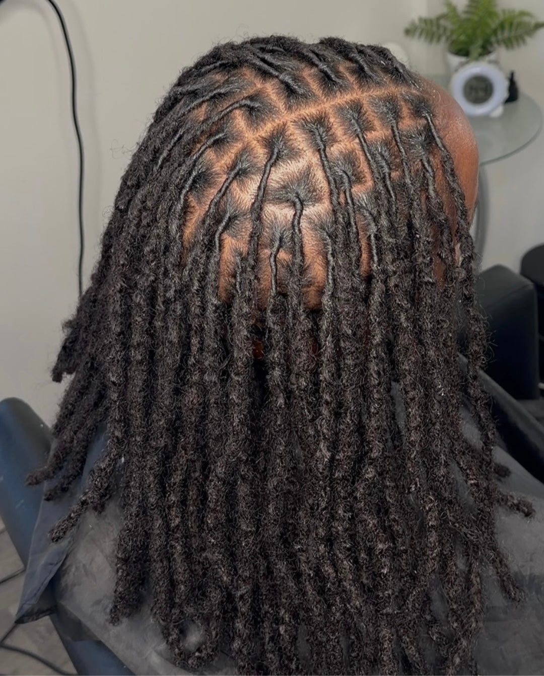 Texture Locs - Human Hair Extensions